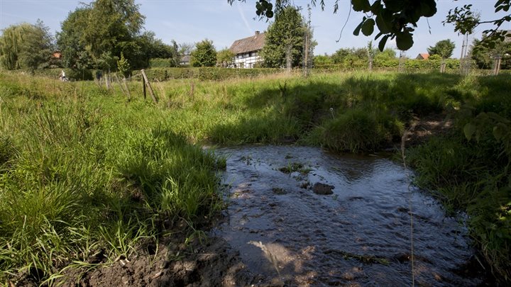 beekje-bij-epen-1 (Breedbeeld)