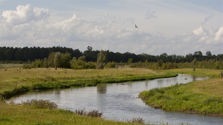 geleenbeek-bij-nieuwstad-6 (Breedbeeld)