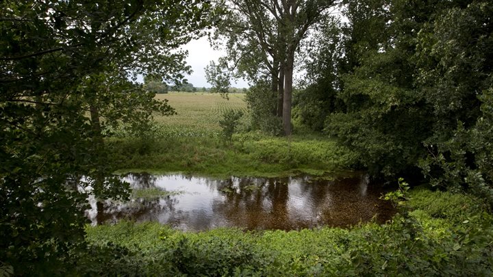 kingbeek-bij-obbicht-2 (Breedbeeld)