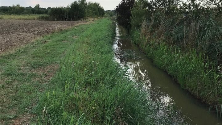 Vlootbeek Montfort (Breedbeeld)