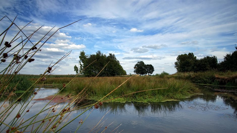 tungelroysebeek-3 (Breedbeeld)