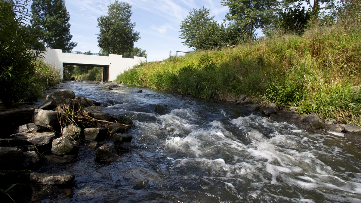 geleenbeek-bij-munstergeleen-3 (Breedbeeld)