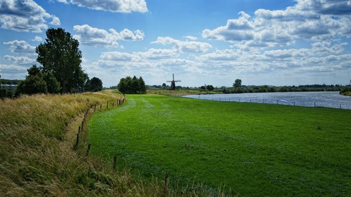 beesel_dijk_maas_09541 (Breedbeeld)