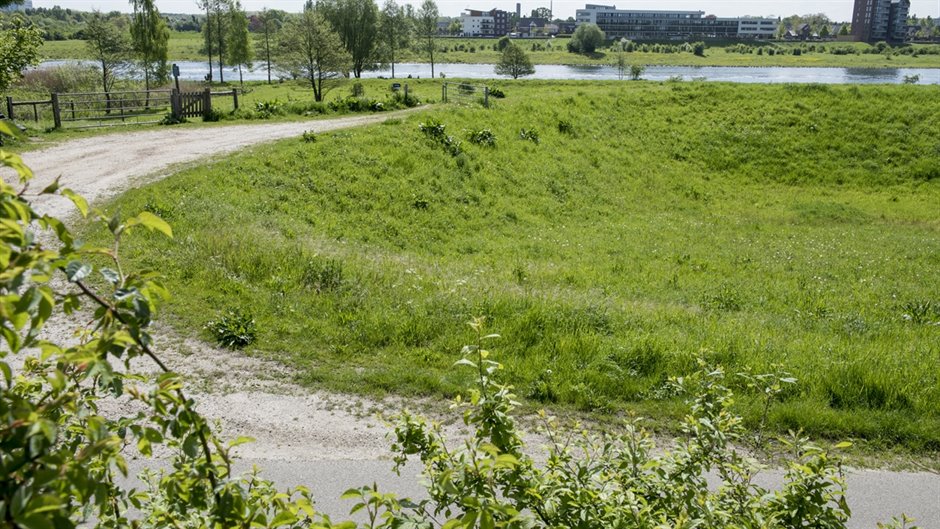 Baarlo_dijk1_GerPeeters (Breedbeeld) Baarlo_dijk1_GerPeeters (Breedbeeld)
