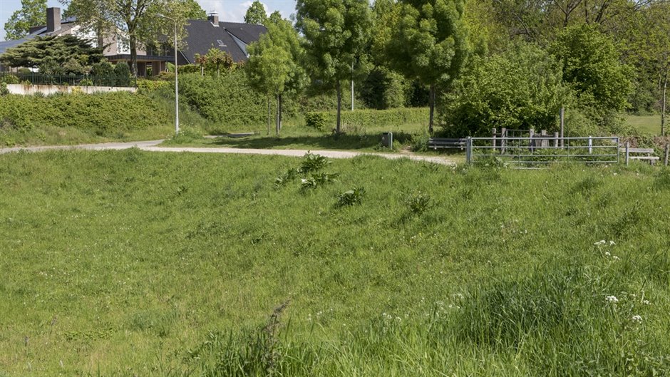 Baarlo_dijk2_GerPeeters (Breedbeeld)