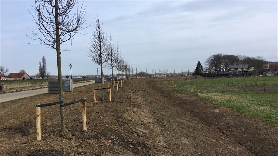 bomen Stevensweert (Breedbeeld)