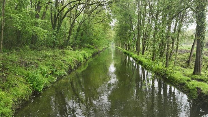 Geleenbeek Schinnen-TerborghTim (Breedbeeld)