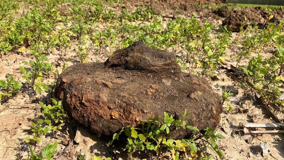 Bijzondere vondsten bij onderzoek Geleenbeek Millen-Nieuwstadt