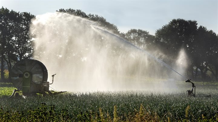 Droogte_beregenen2 (Breedbeeld)