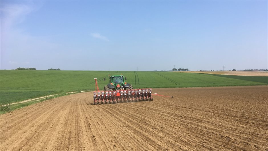 Mais zaaien proef 1 deze_WUR (Breedbeeld)
