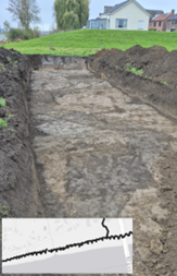 Afbeelding 1 'Archeologische vondsten in Well'