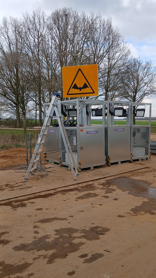 Buggenum tijdelijke vleermuispaal