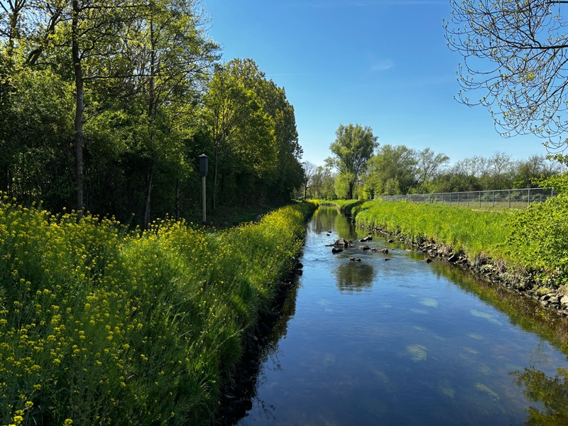 Vleermuispalen Geleenbeek - 2