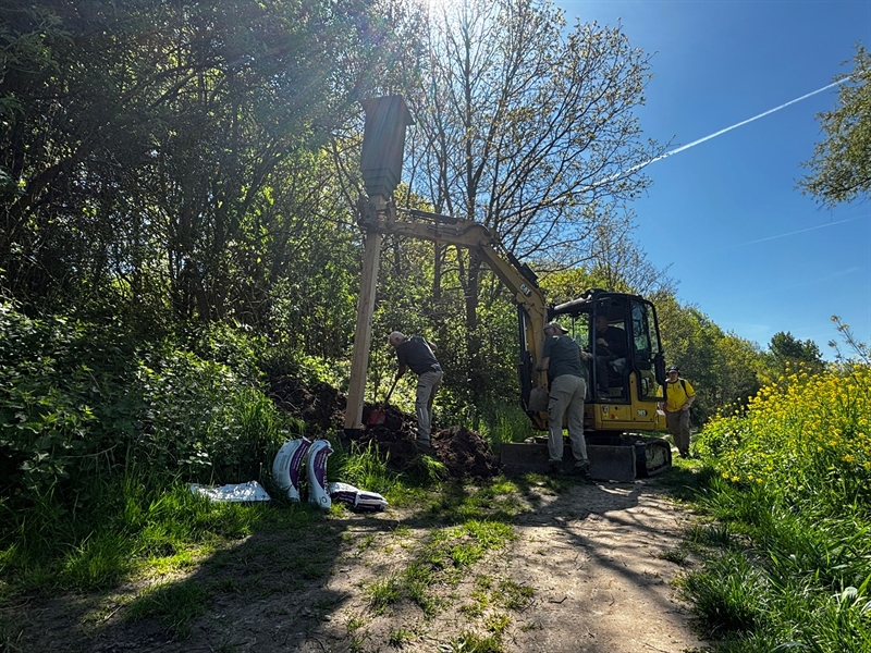 Vleermuispalen Geleenbeek - 3