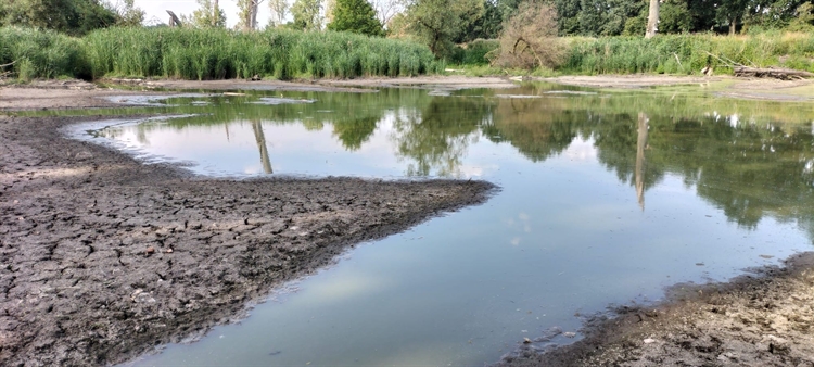 Mintepoel 12 juli 2026