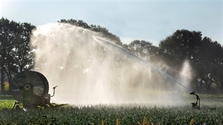 Beregenen bij droogte