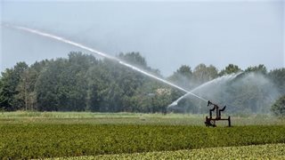 Beregenen droogte