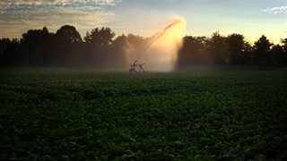 Beregenen akkerbouw in de avond