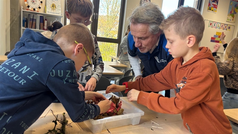 Gastlessen op basisschool