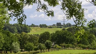 Landschap Hekerbeekdal