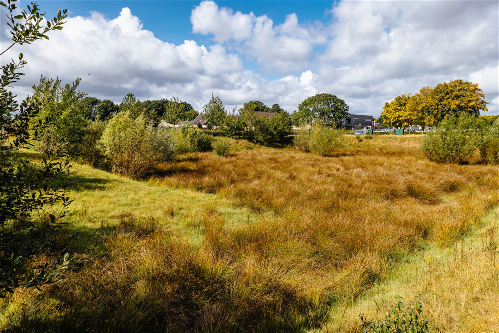 Landschap