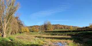 Buffer Visweg