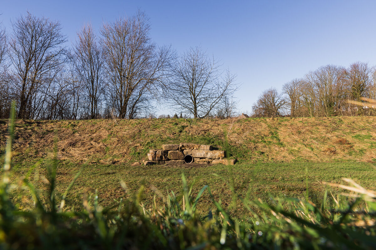 Vooraanzicht waterbuffer Locatie Noorbeek
