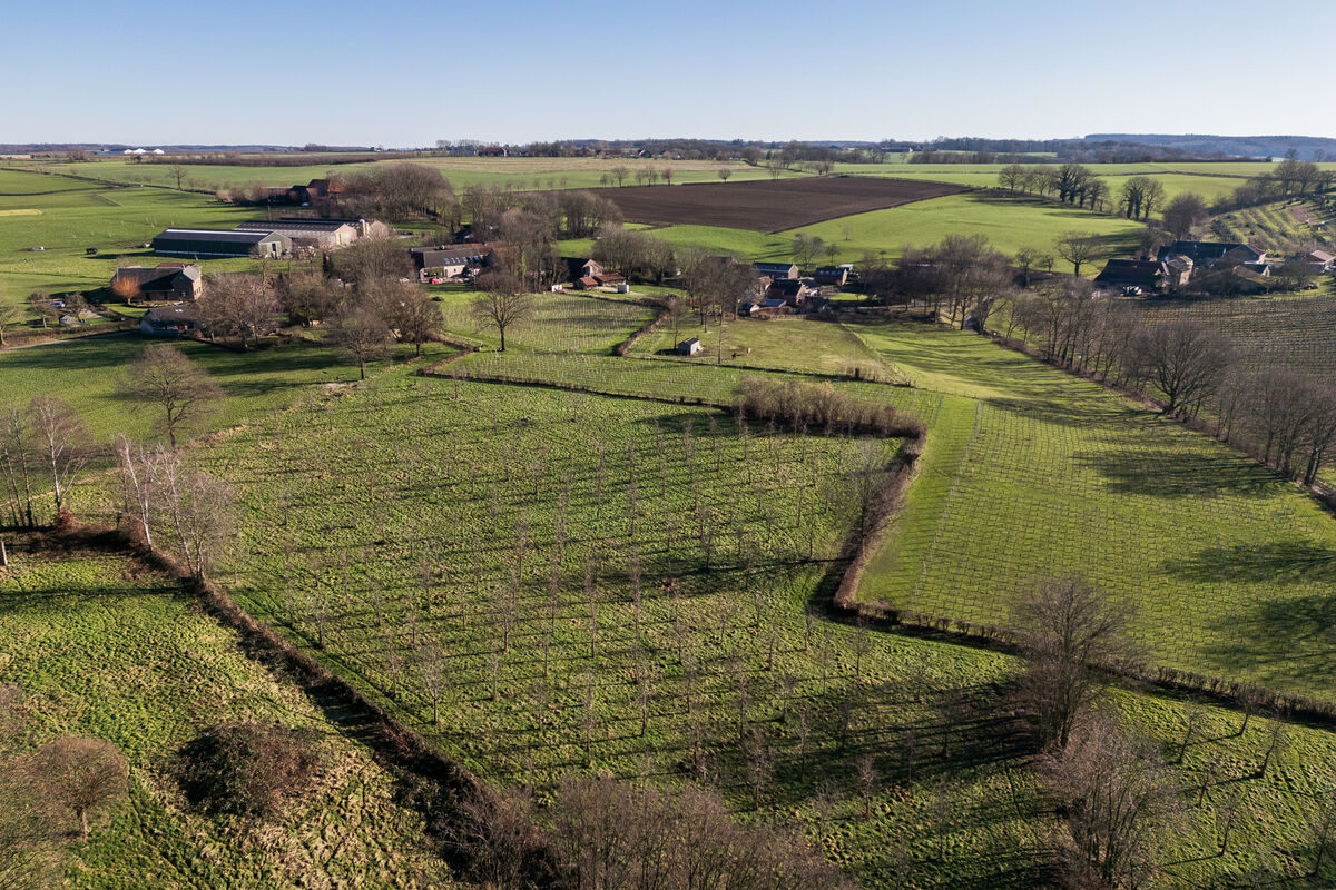 Luchtfoto locatie Noorbeek