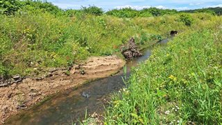 Een betere ecologische inrichting bij de Hemelbeek