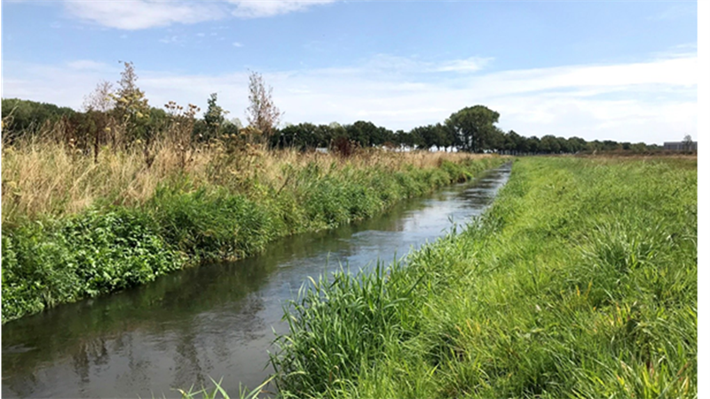 Beekherstel en verbeteren waterkwaliteit Geleenbeek Oude Rijksweg
