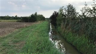 De Vlootbeek in natuurgebied Reigersbroek en landgoed Rozendaal