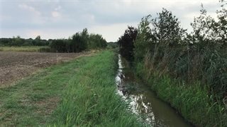 De Vlootbeek in natuurgebied Reigersbroek en landgoed Rozendaal