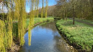 Landschap met de Geleenbeek