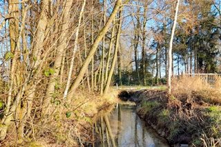 Natuurgebied met maasmeanders, moerassen en uitgeveende plassen