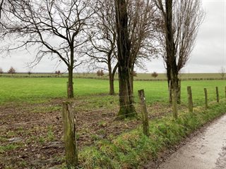 Wijngaardsberg bufferlocatie