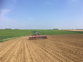 Tractor zaait mais op het veld