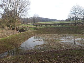 Buffer Watervalderbeek bij de Visweg