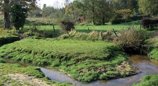 Natuurgebied met een beek