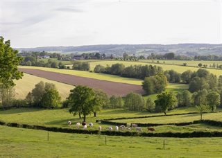 Natuurlandschap