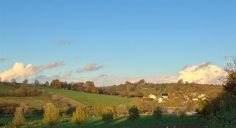 Landschap