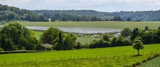 Groen landschap