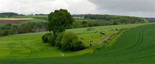Graslandschap
