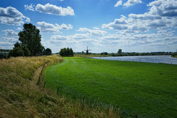 beesel_dijk_maas_09541