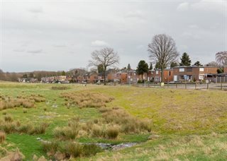 Grasveld in woonwijk