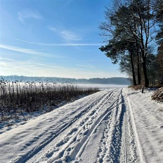 Sneeuw op wegen en velden