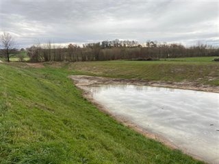 Wateroverlast in grasveld