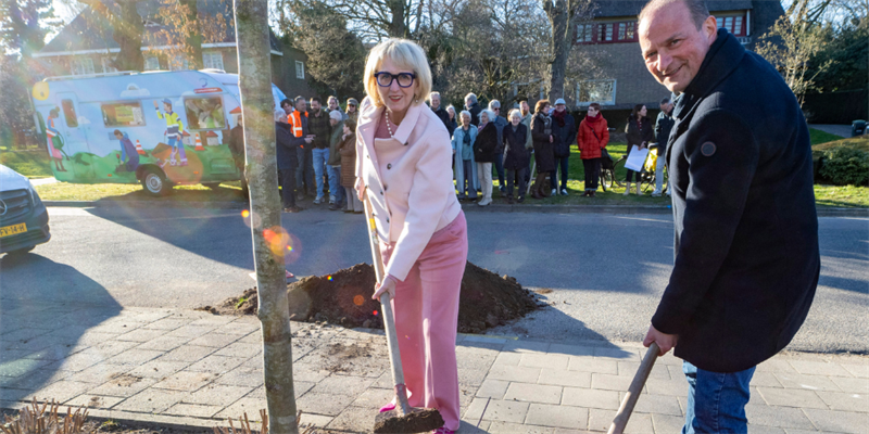 Planten boom in de tuin van een bewoner