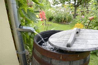 Regenton in de tuin