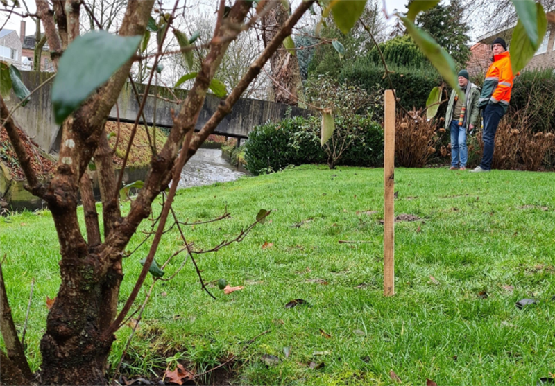 Paaltje in de grond om aan te geven waar de tuin overgaat in het profiel van de beek