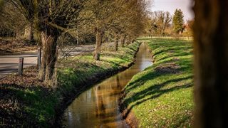 De Aalsbeek